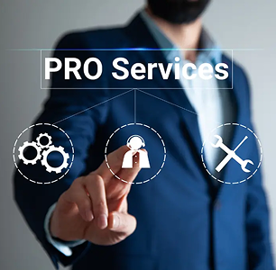 PRO Services